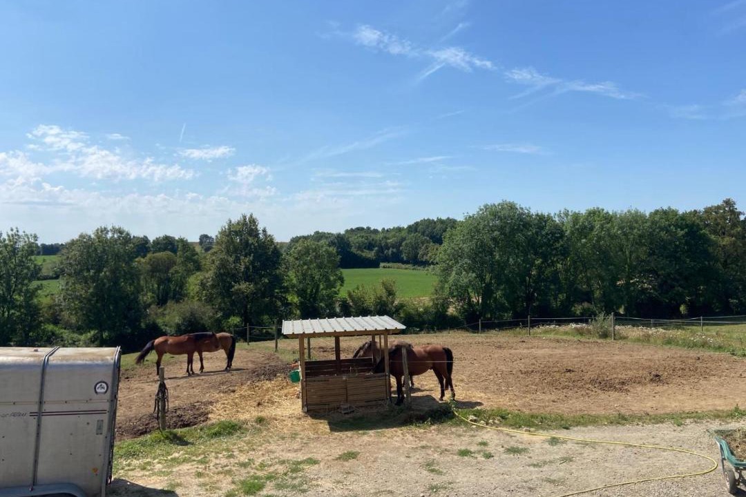 Photo of Others in La Foret-sur-Sevre