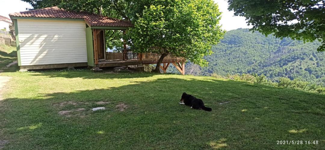 Photo of Others in Asperjoc