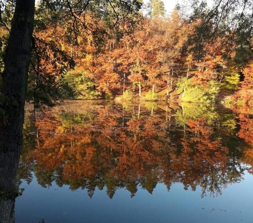 Photo of Outdoor in Asswiller