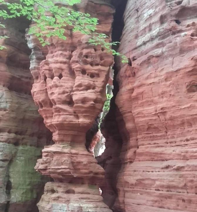 Photo of Others in Asswiller