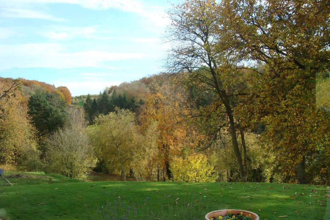 Photo of Outdoor in Glicourt