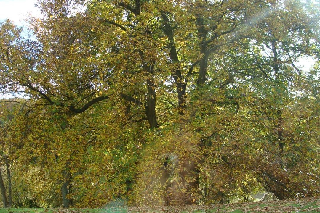 Photo of Outdoor in Glicourt