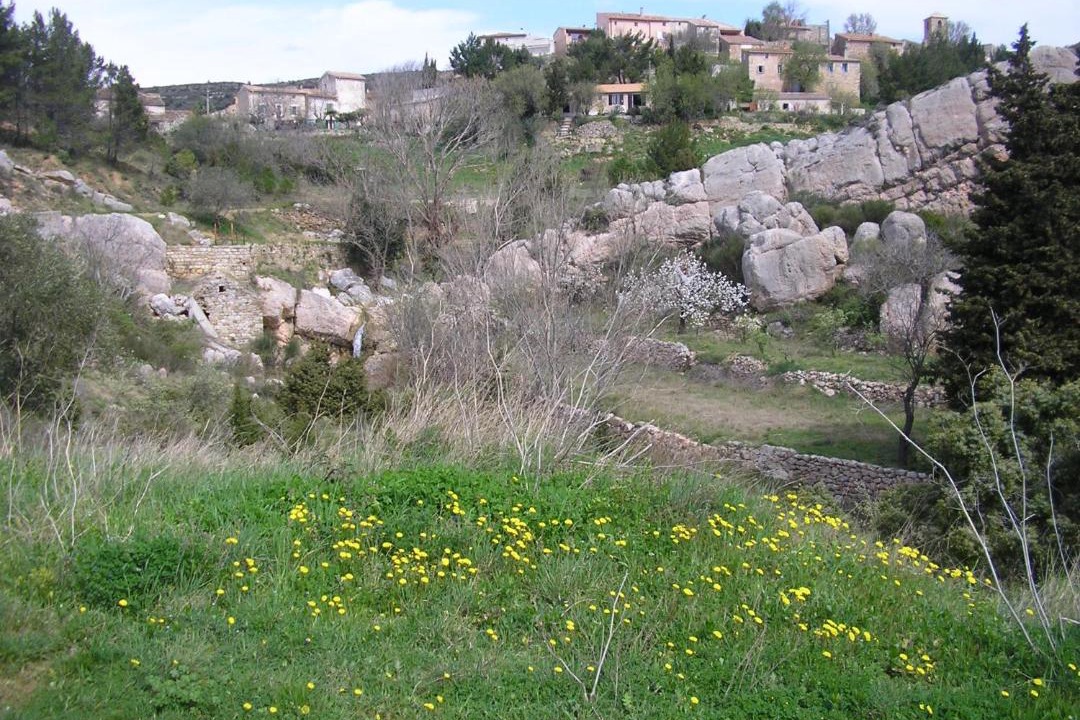 Photo of Others in Albas