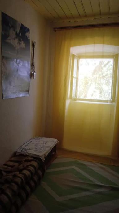 Photo of Bedroom in Razvode