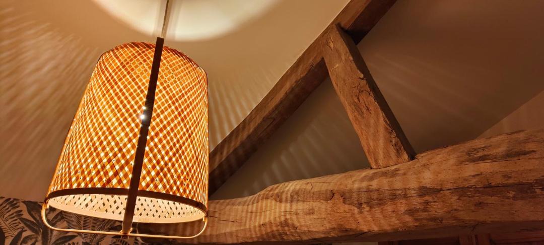 Photo of Others in Bats