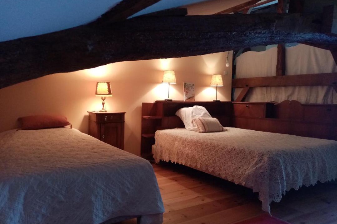 Photo of Others in Momuy