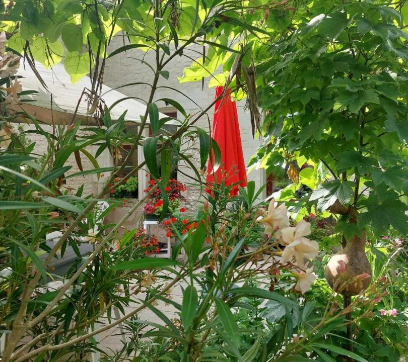 Photo of Others in Derce