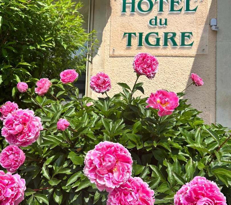 Photo of Others in Verdun