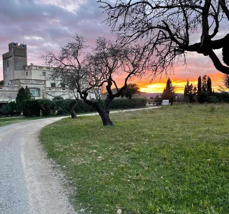 Photo of Others in Llorenc del Penedes