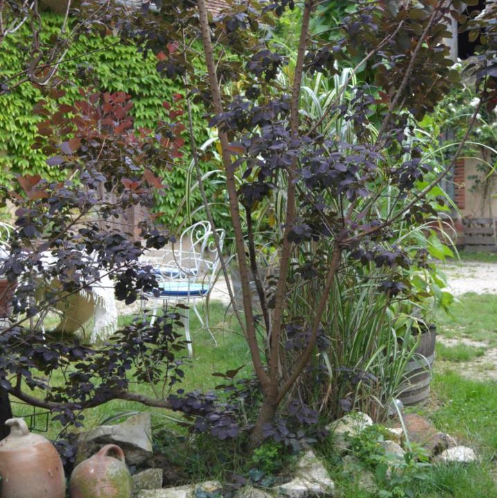 Photo of Outdoor in Le Noyer