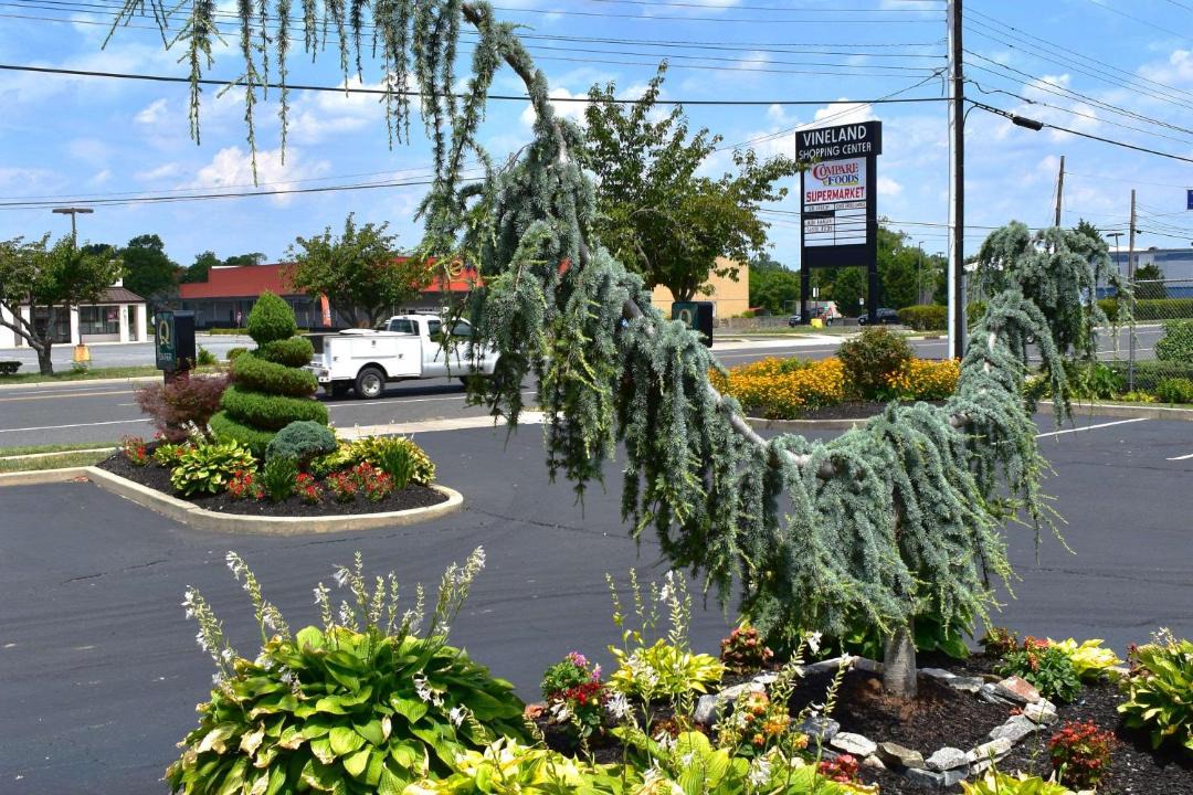 Photo of Others in Vineland
