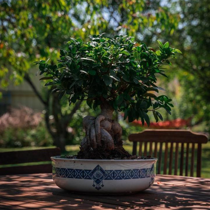 Photo of Others in Lusigny-sur-Barse