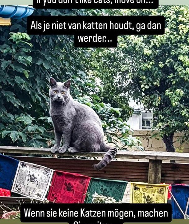 Photo of Others in Gare