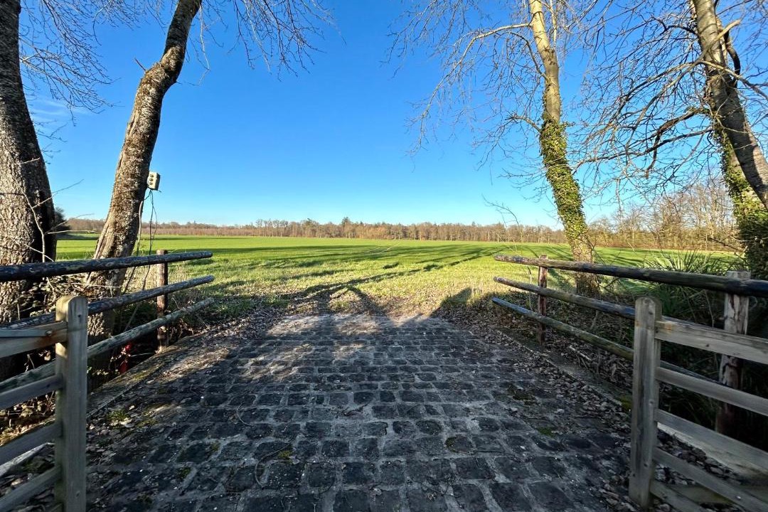 Photo of Others in Chatillon-la-Borde