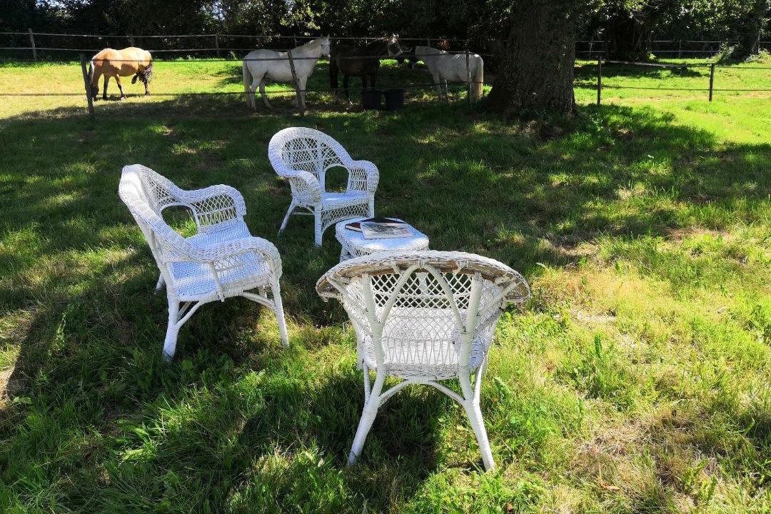 Photo of Others in Orsennes