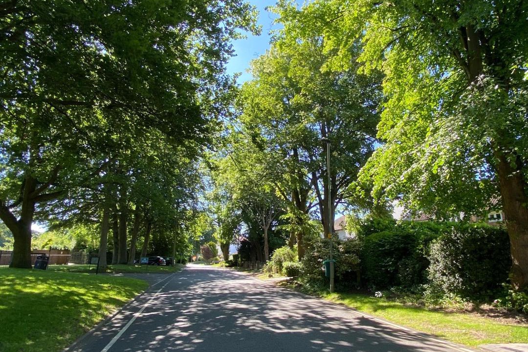 Photo of Outdoor in London Borough of Bromley