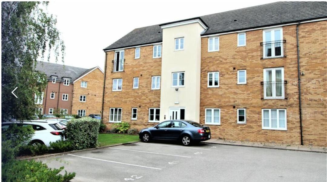 Photo of Others in Rugby