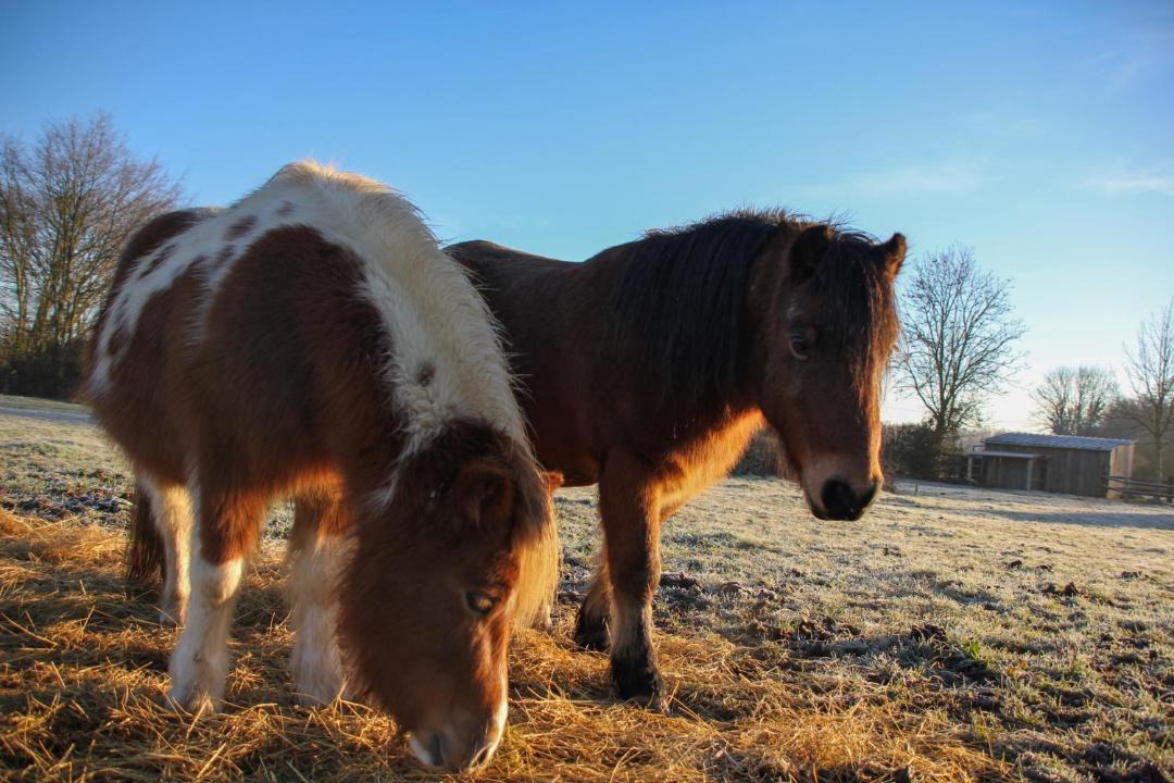 Photo of Others in Saint-Germain-d'Aunay