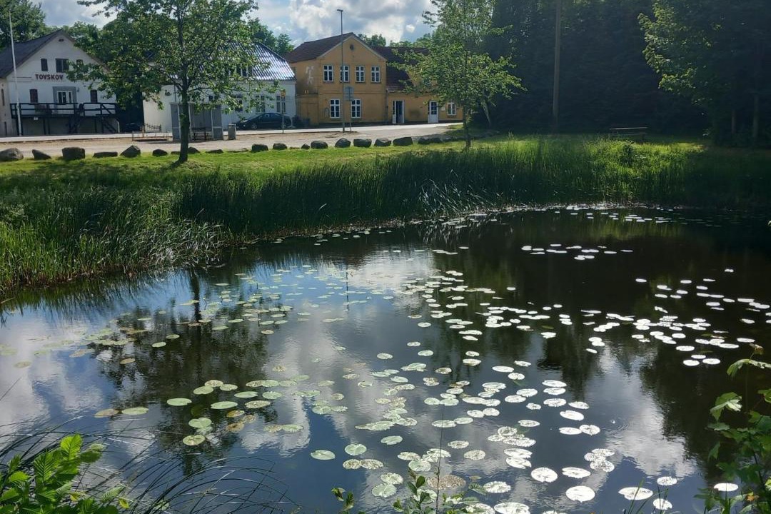 Photo of Others in Molby