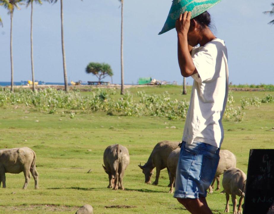 Photo of Others in Kuta