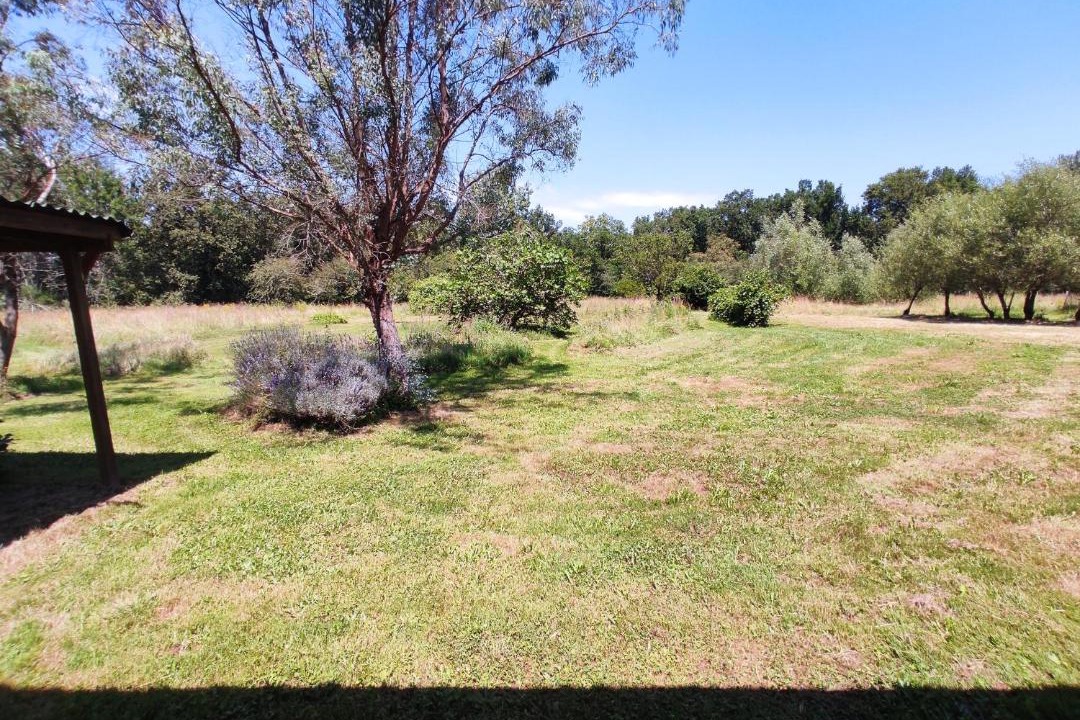 Photo of Others in Bazadais