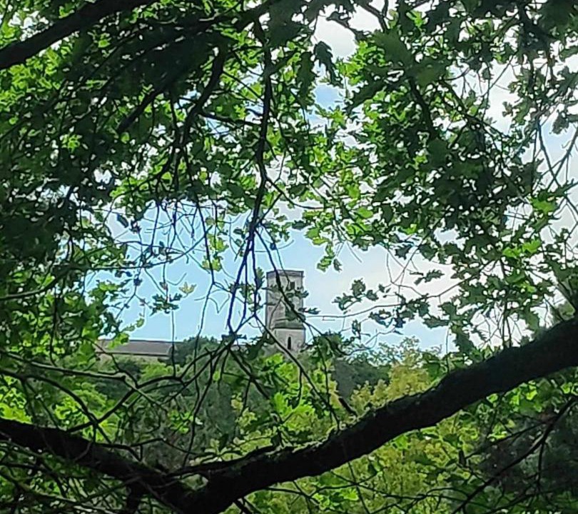 Photo of Others in Castillonnes