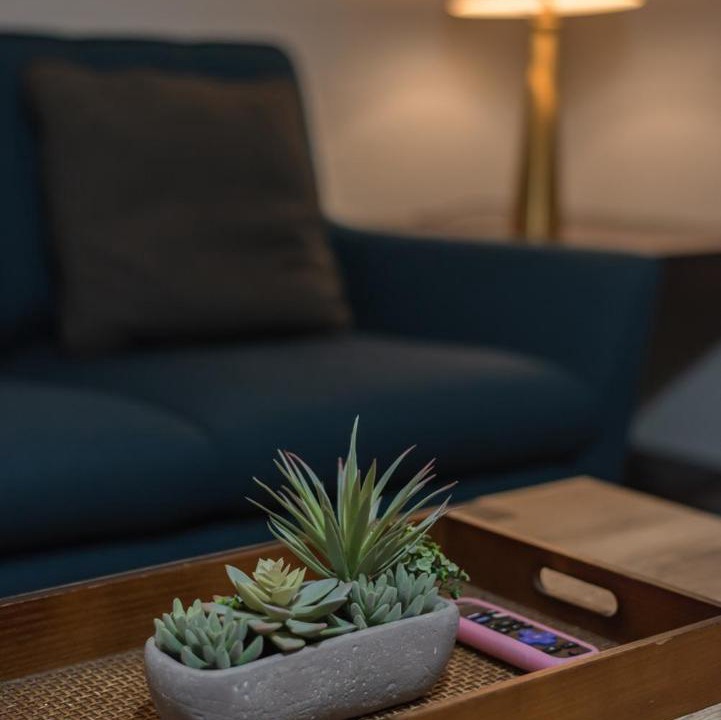 Photo of Livingroom in Mahncke Park