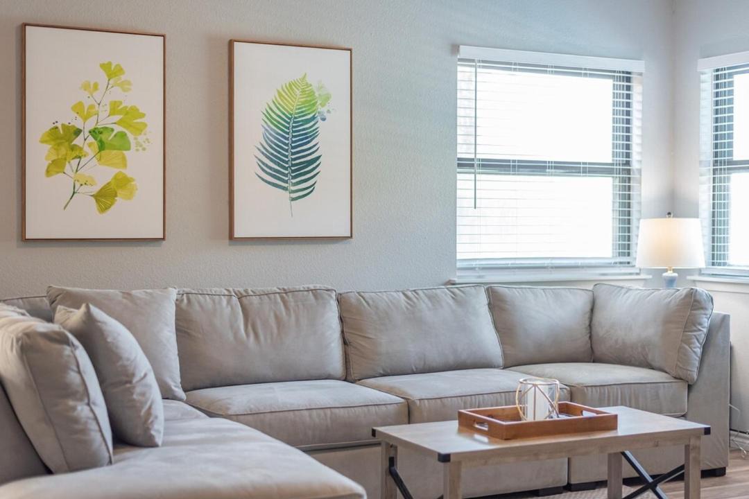 Photo of Livingroom in North San Antonio - SAT