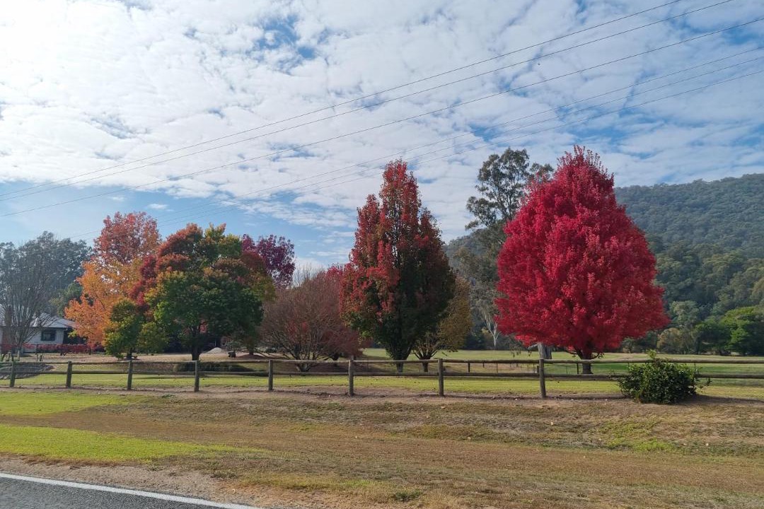 Photo of Others in Dartmouth