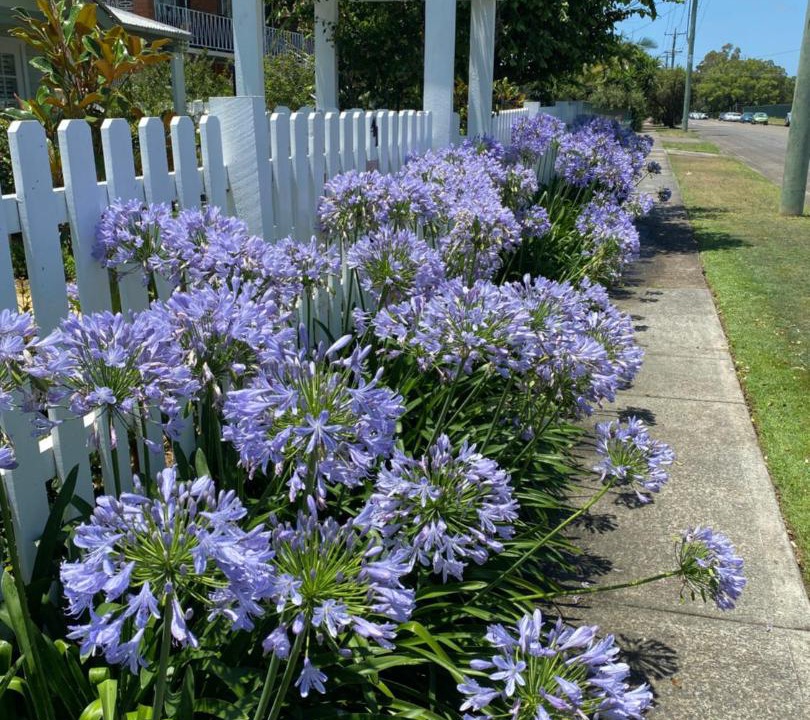 Photo of Others in Taree