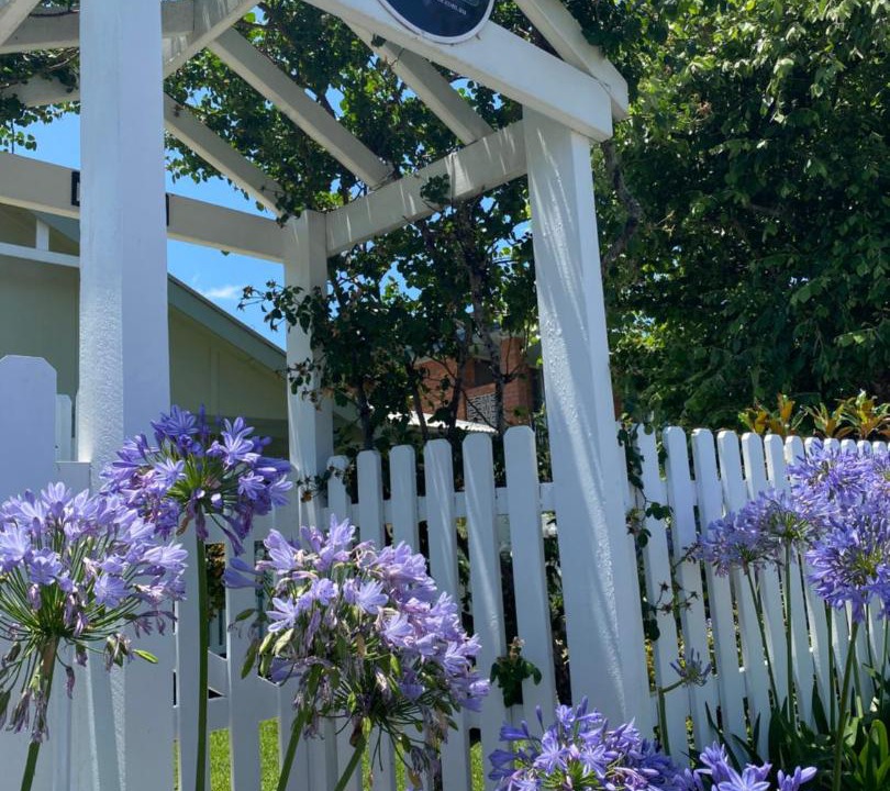 Photo of Others in Taree