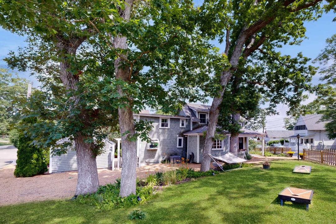 Photo of Others in East Chop