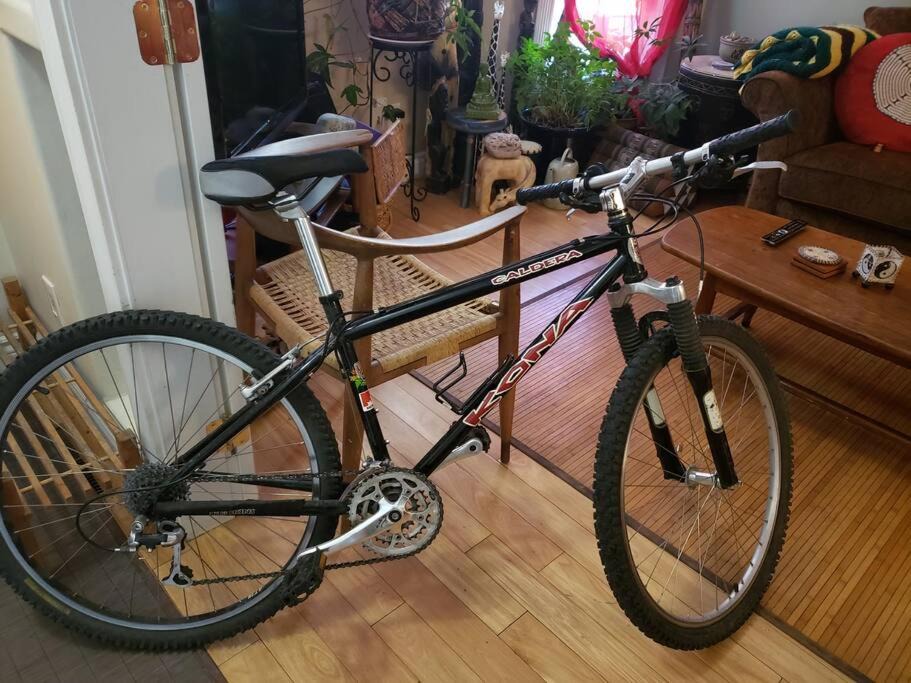 Photo of Others in Mission District