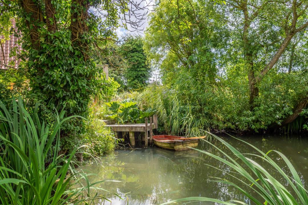 Photo of Others in Newmarket