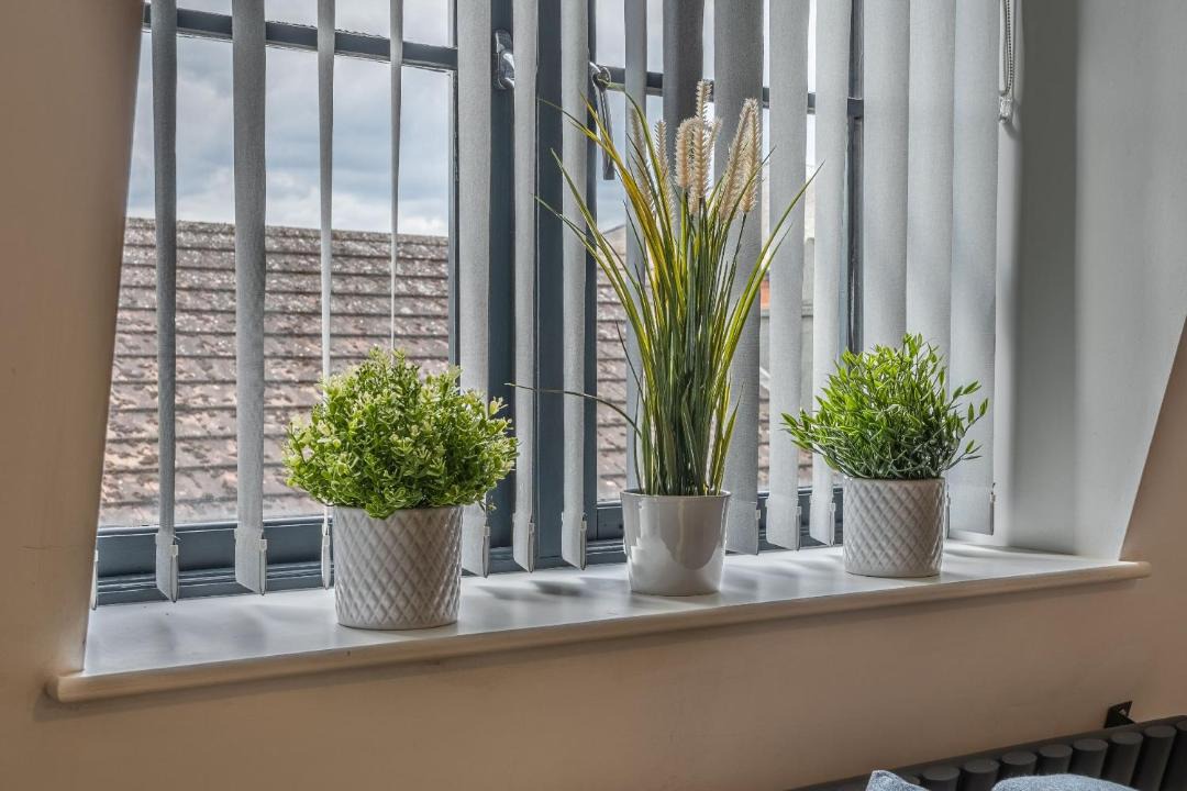 Photo of Others in Wellington