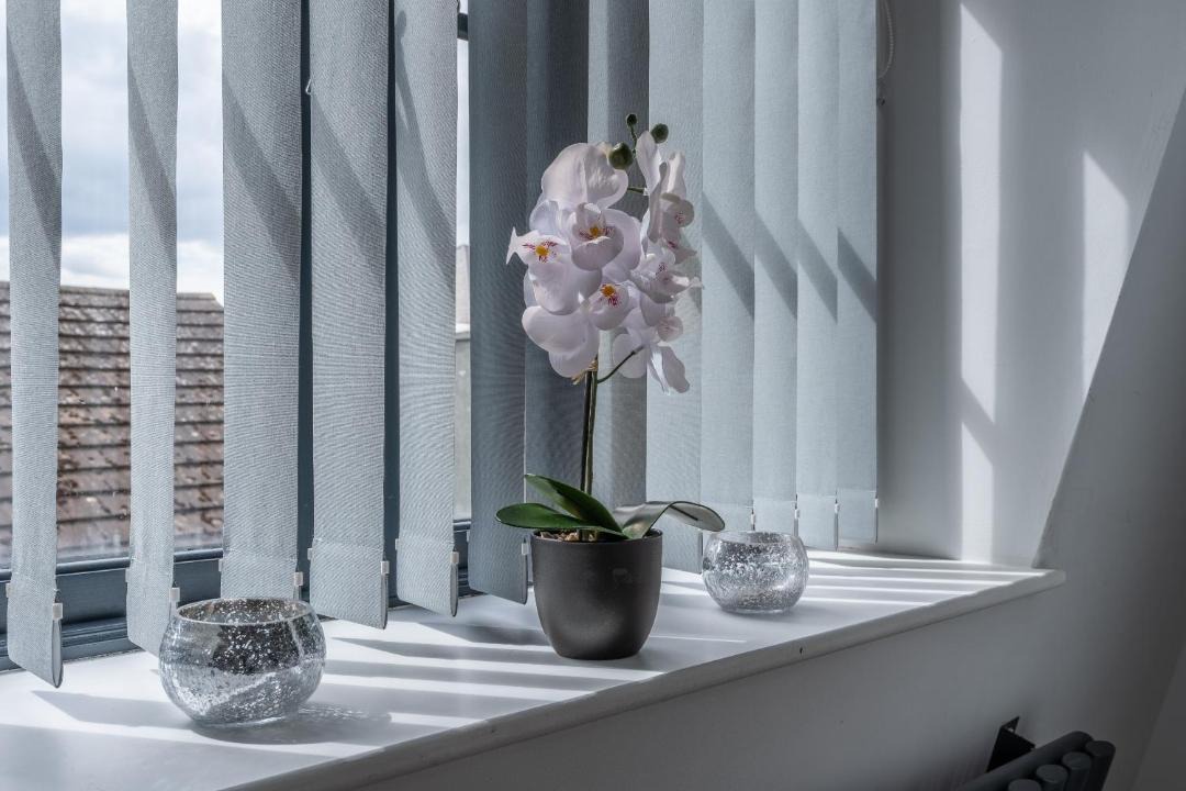 Photo of Others in Wellington