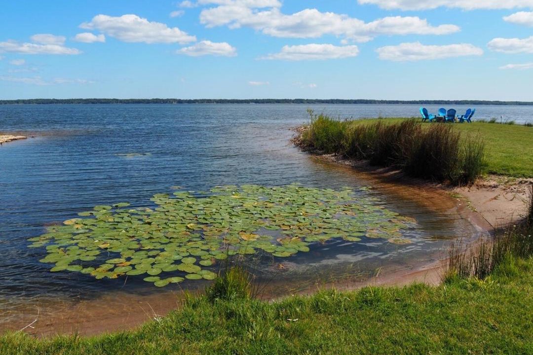 Photo of Outdoor in Gladstone