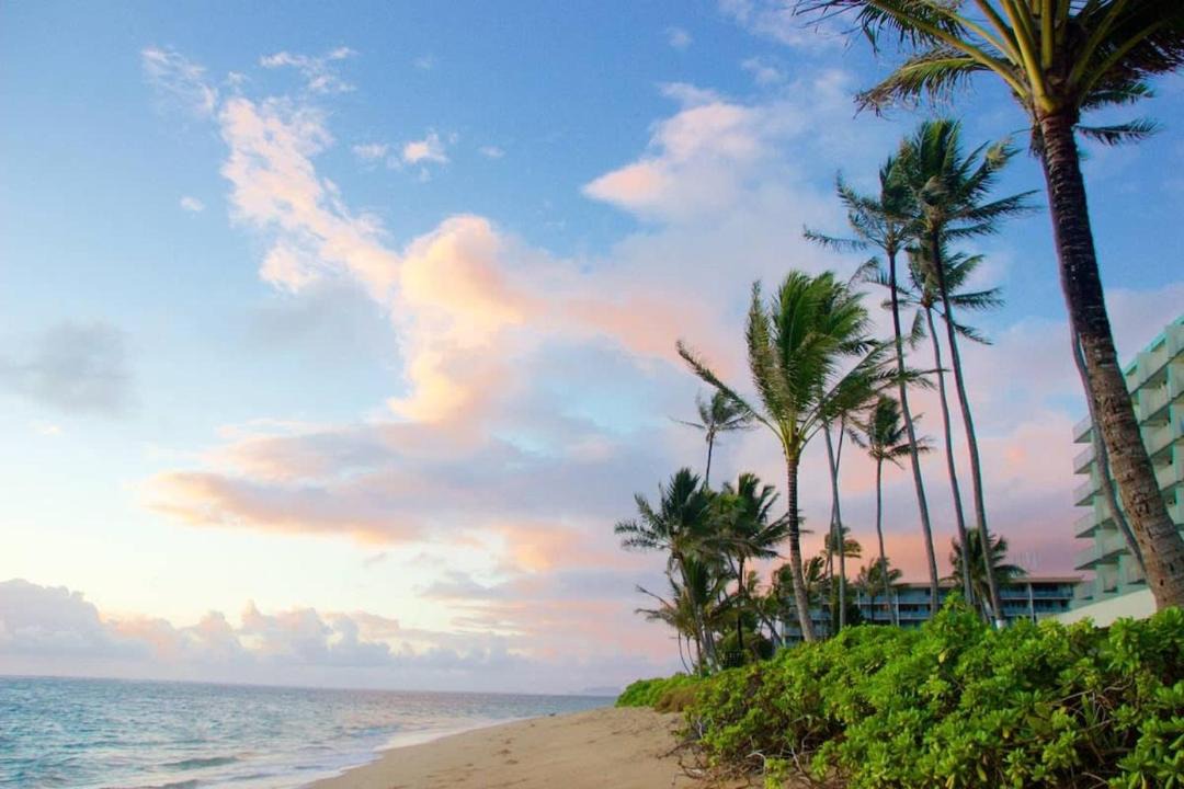 Photo of Outdoor in Punaluu