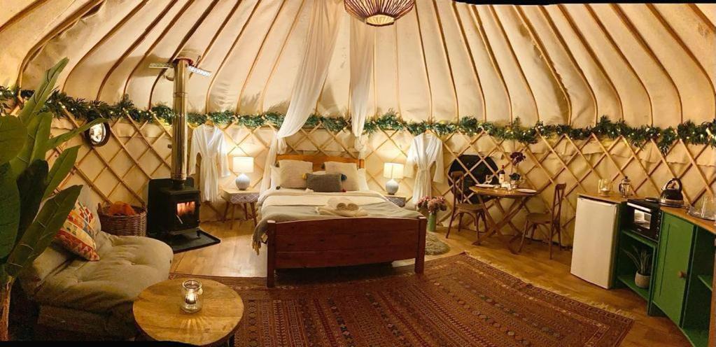 Photo of Others in Ripon