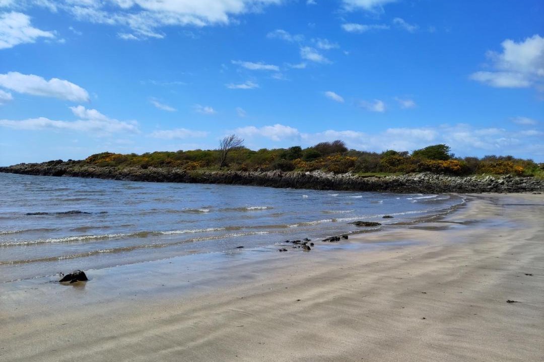 Photo of Others in Castle Douglas