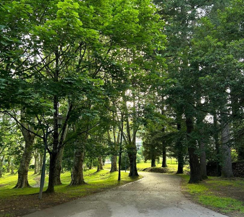 Photo of Others in Malemort-sur-Correze