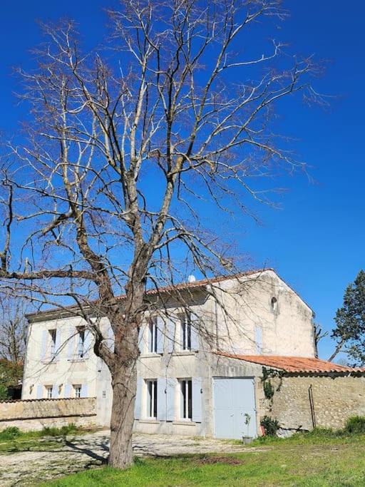 Photo of Others in Saint-Jean-d'Angely