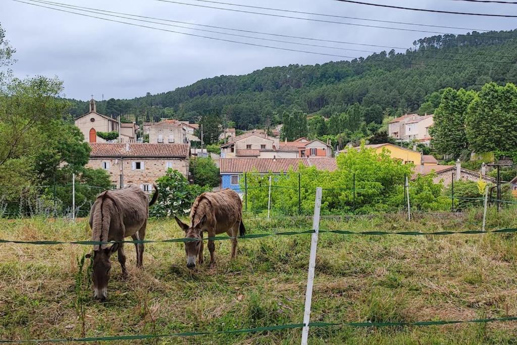 Photo of Others in La Grand'Combe
