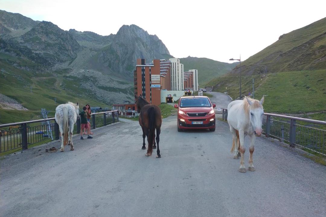 Photo of Others in La Mongie