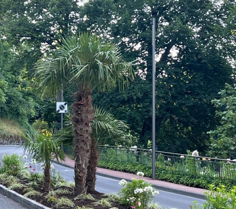 Photo of Others in Divonne-les-Bains