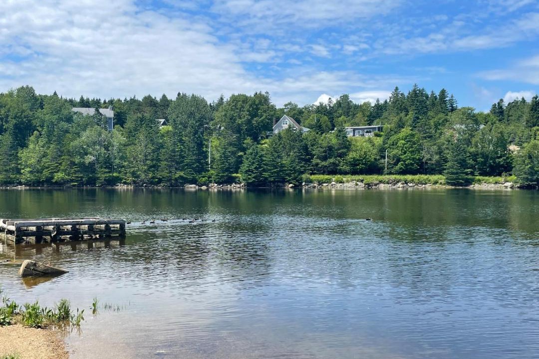 Photo of Others in Tantallon