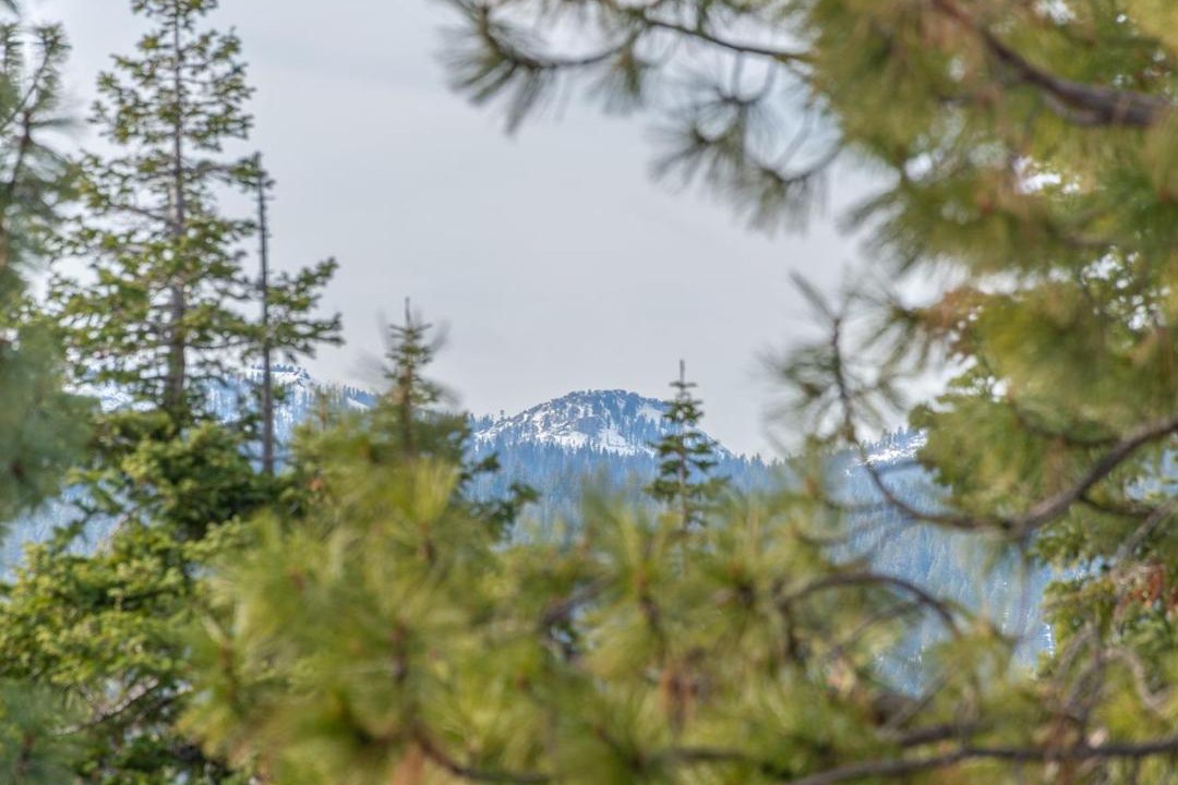 Photo of Outdoor in Truckee