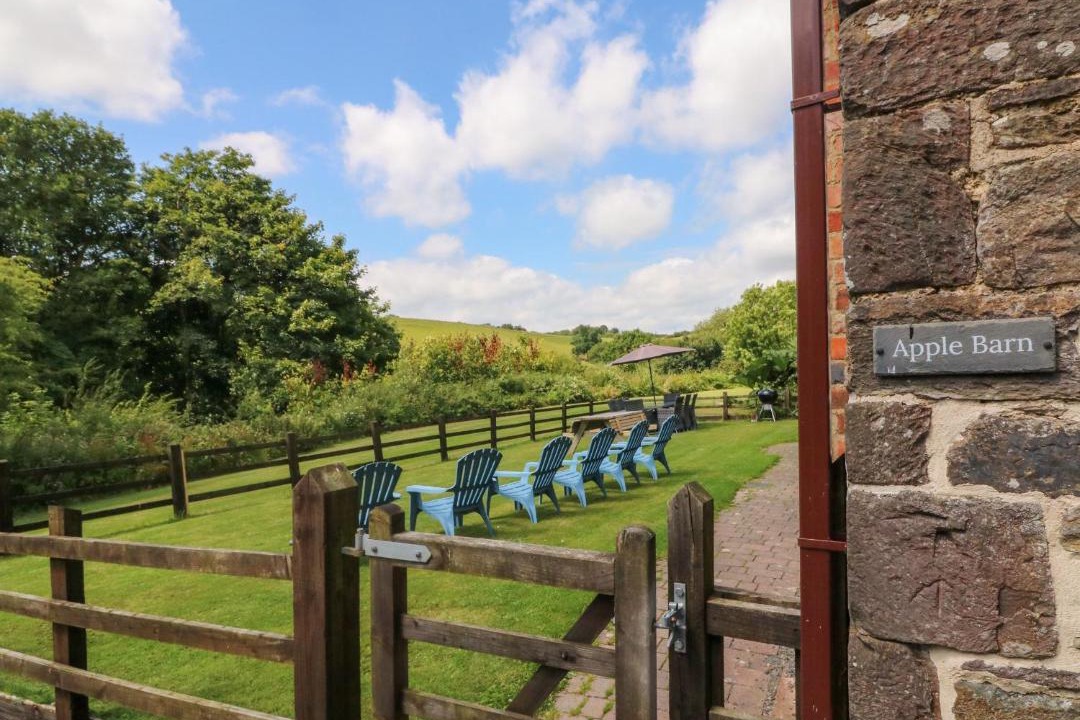 Photo of Others in South Molton