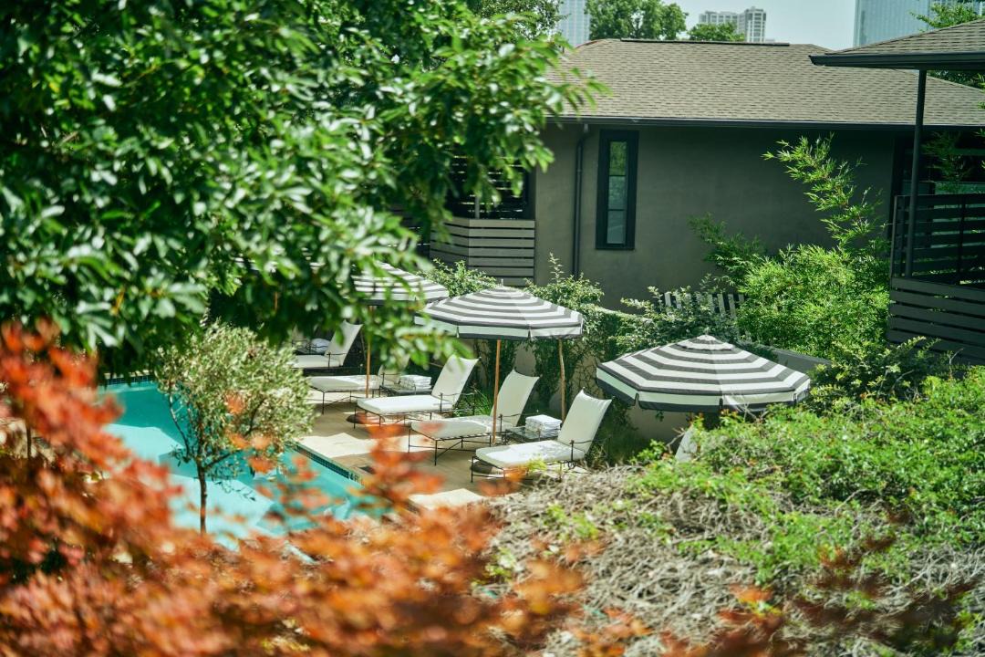 Photo of Others in Travis Heights