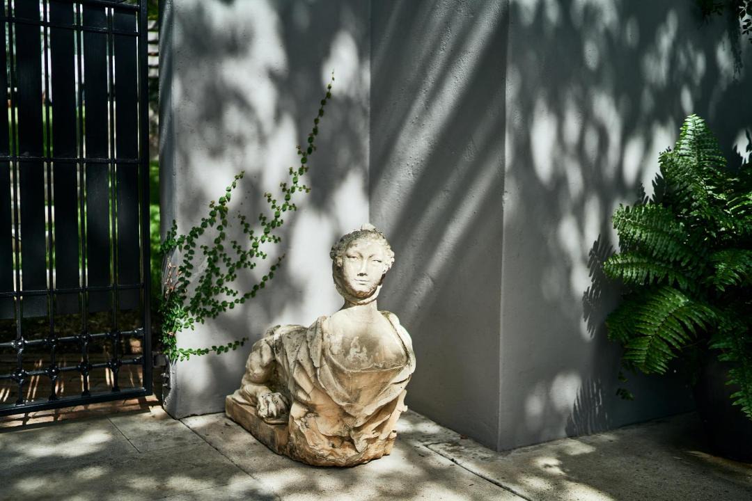 Photo of Others in Travis Heights